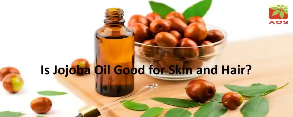 Jojoba oil for Hair and Skin