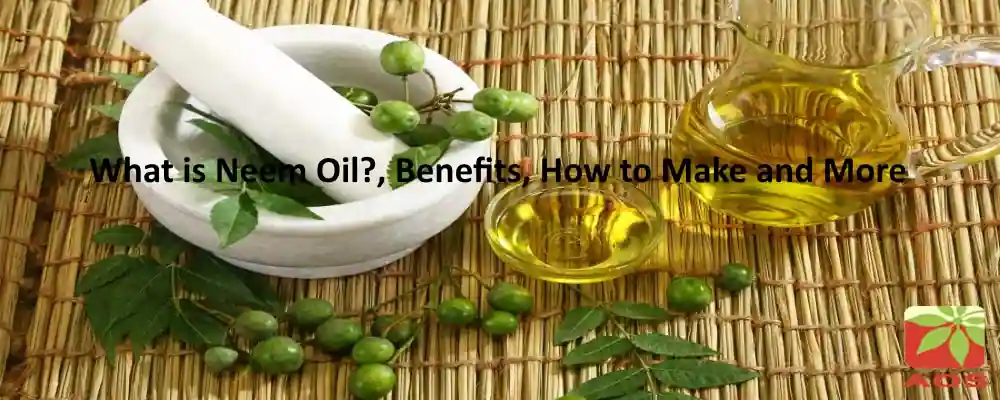 All About Neem Oil