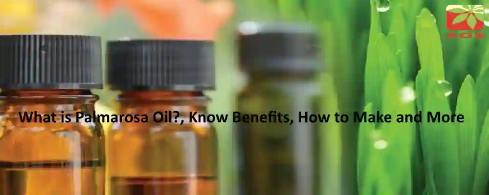 All About Palmarosa Oil