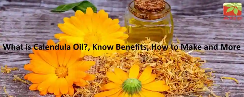 All About Calendula Oil