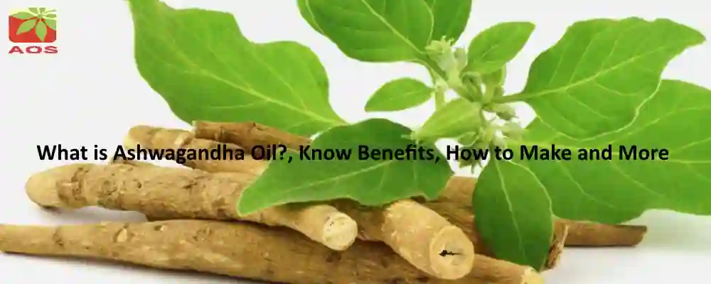 All About Ashwagandha Oil
