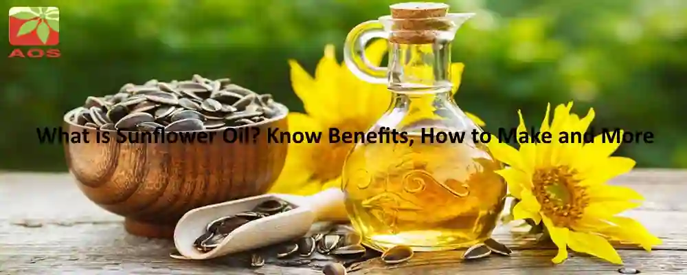 All About Sunflower Oil