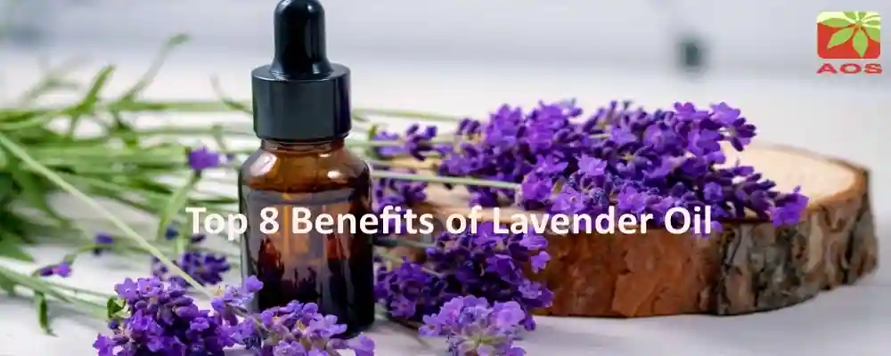 Lavender Oil Benefits