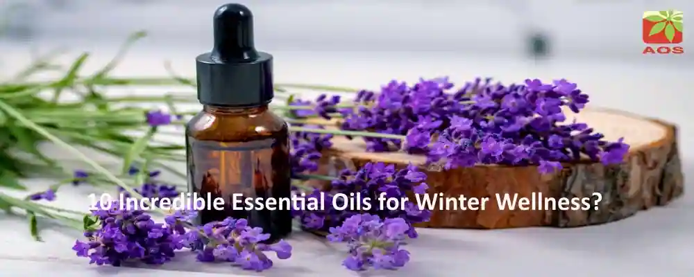 Essential Oil for Winter