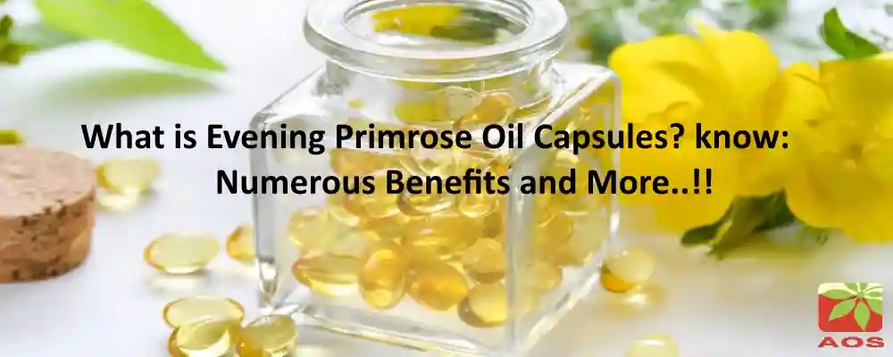 Evening Primrose Oil Capsules