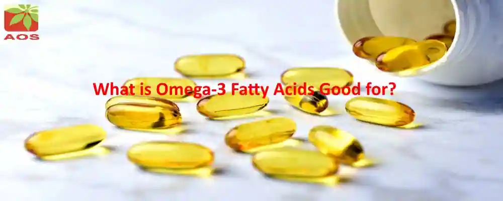 Omega 3 Fatty Acid