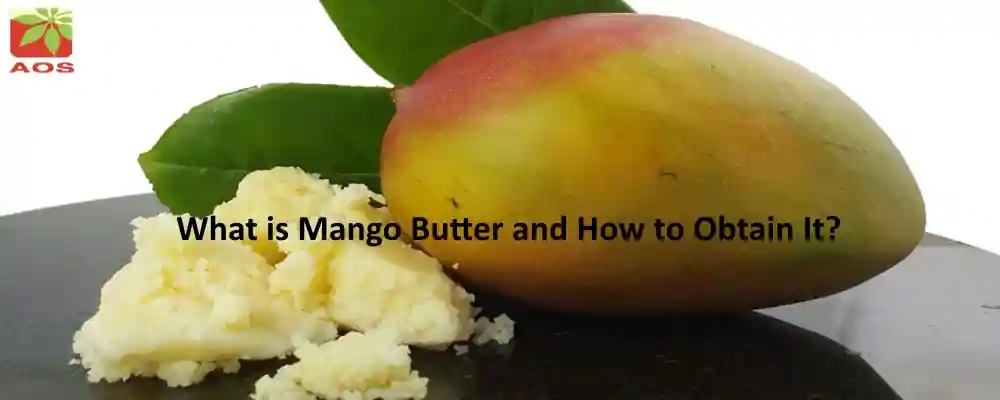 Mango Butter Benefits Mango Butter Benefits