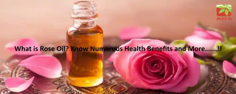 Rose Oil Benefits