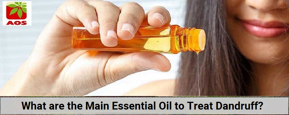 Essential Oil for Dandruff