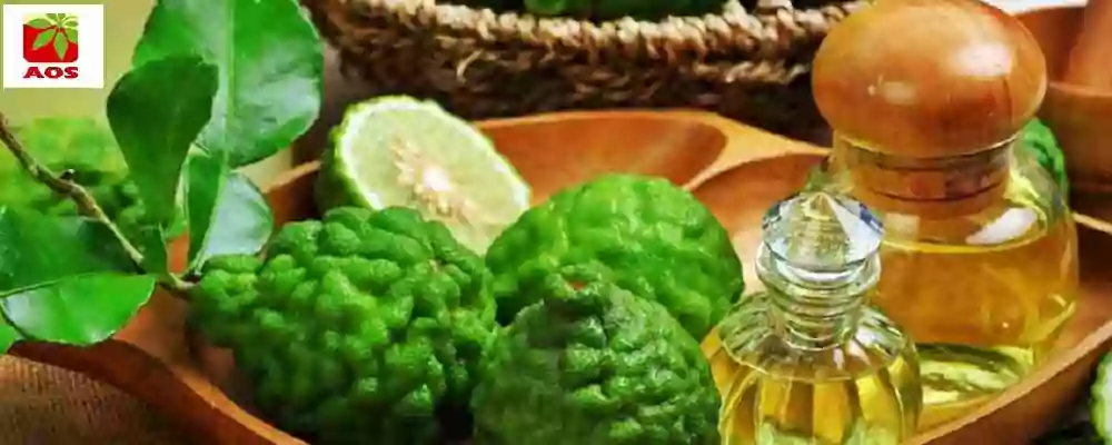 Bergamot Oil Benefits