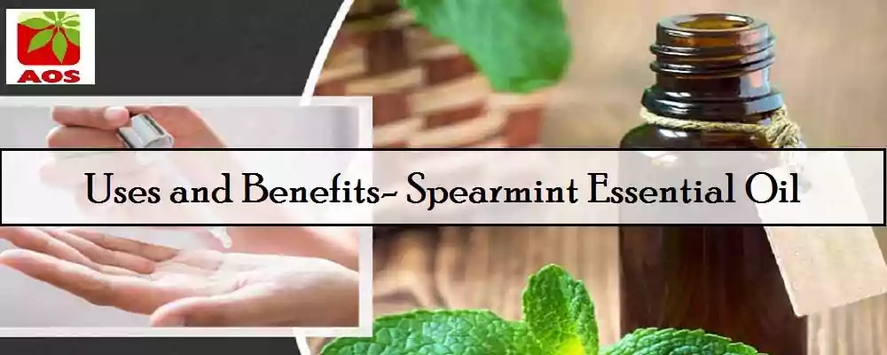 What is Spearmint Oil