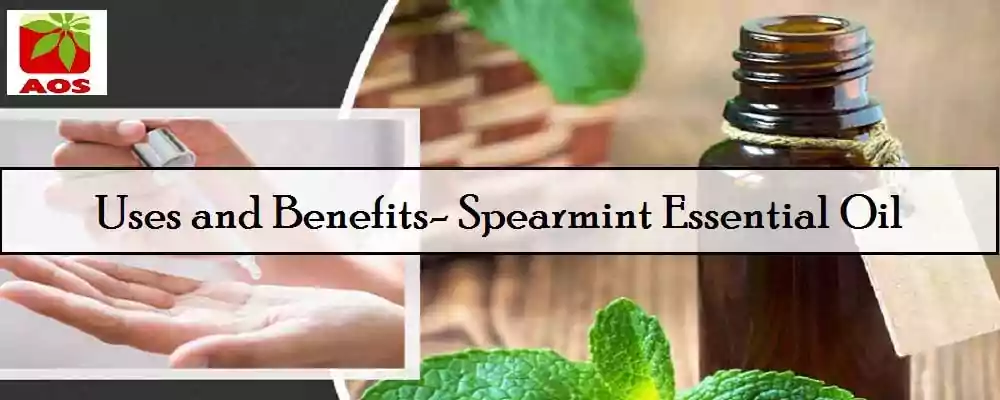 Spearmint Oil Uses and Benefits