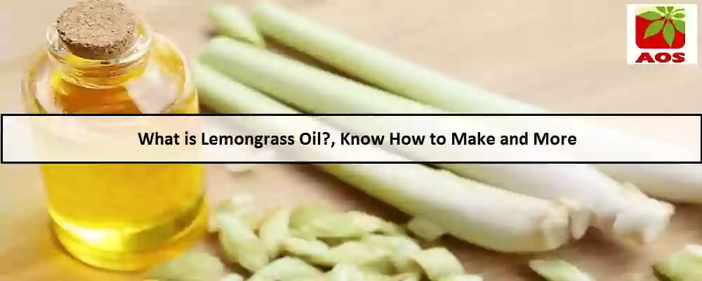 All About Lemongrass Oil