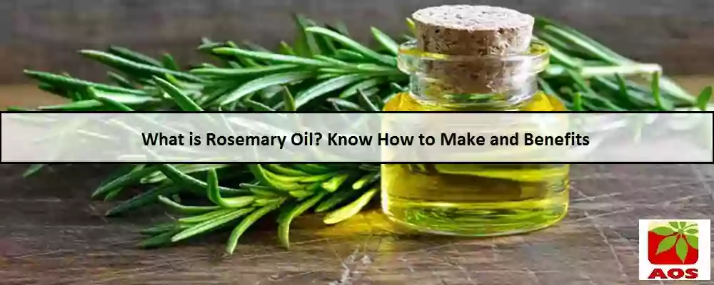All About Rosemary Oil