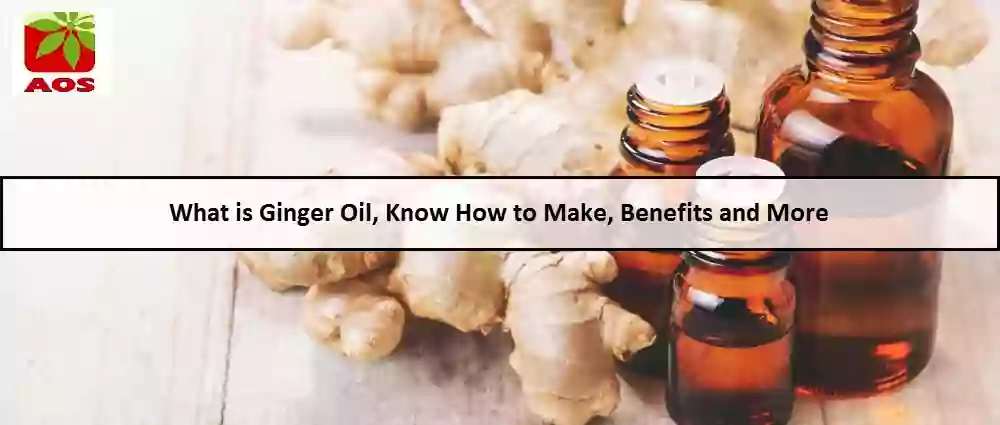 All About Ginger Oil