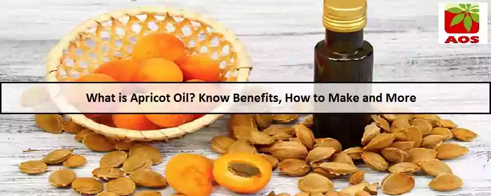 All About Apricot Oil
