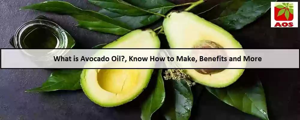 All About Avocado Oil