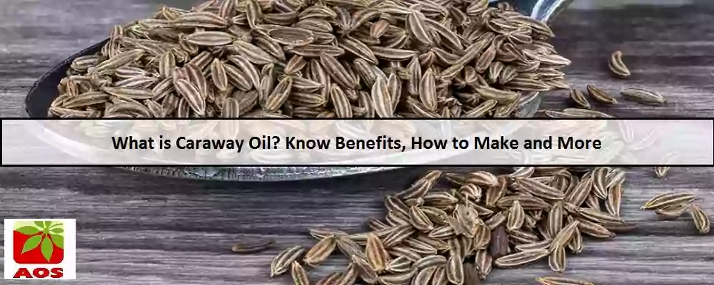 All About Caraway Oil