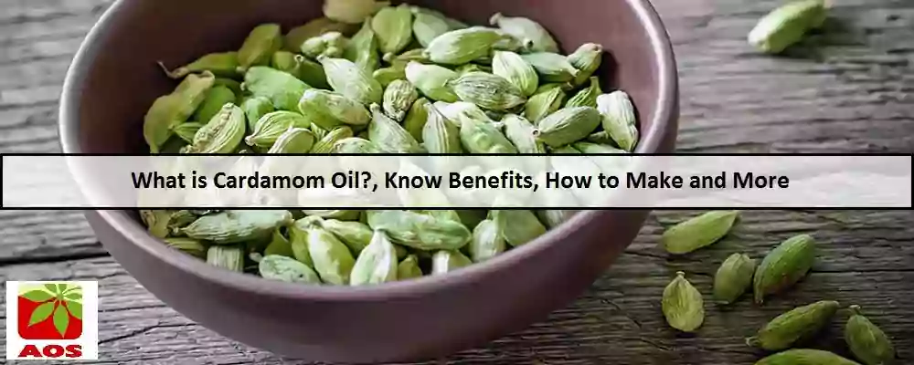All About Cardamom Oil