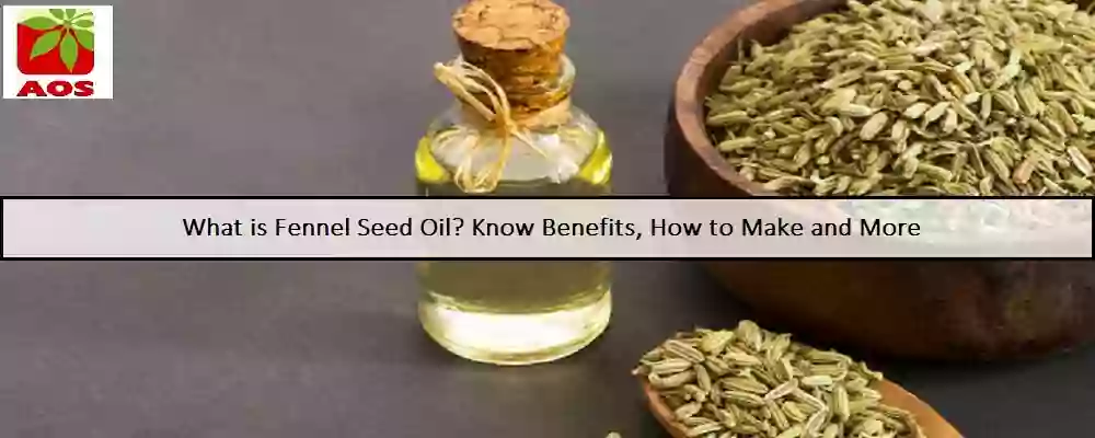 All About Fennel Seed Oil
