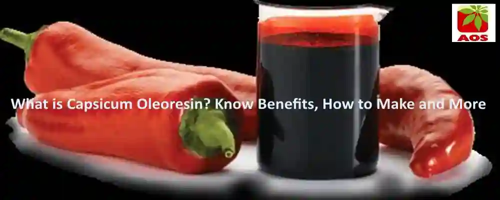 All About Capsicum Oleoresin