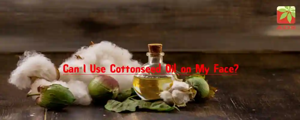 Cottonseed Oil for Skin