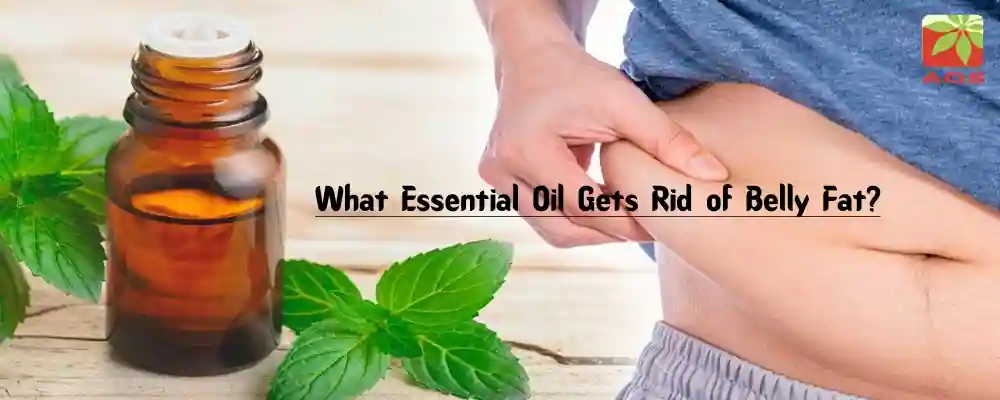 Essential Oil for Belly Fat