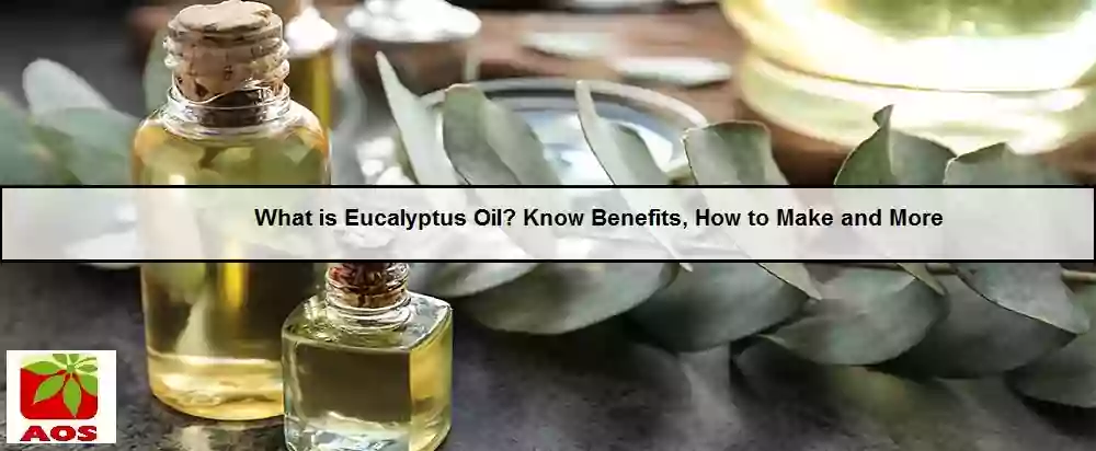 All About Eucalyptus Oil