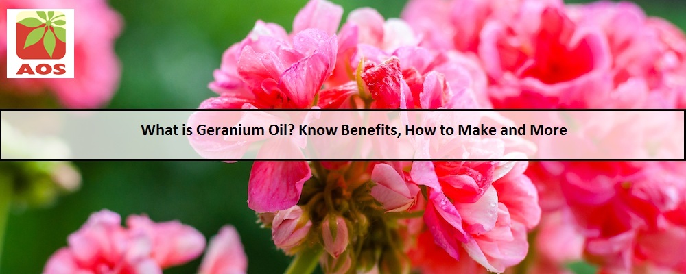 All About Geranium Oil