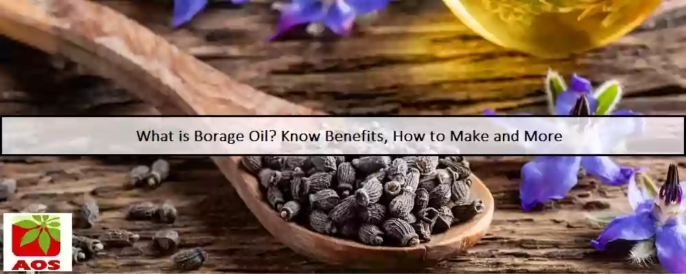All About Borage Oil