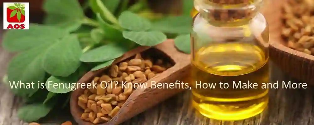 All About Fenugreek Oil