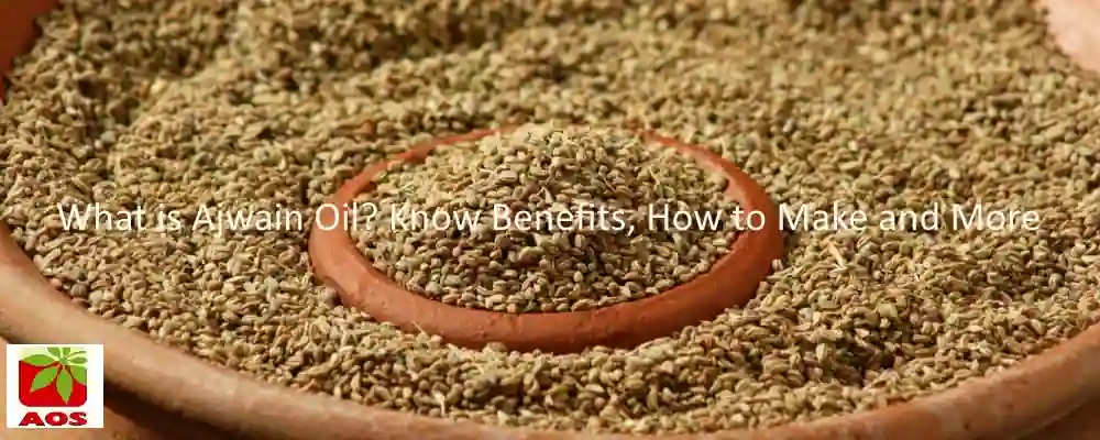 All About Ajwain Oil