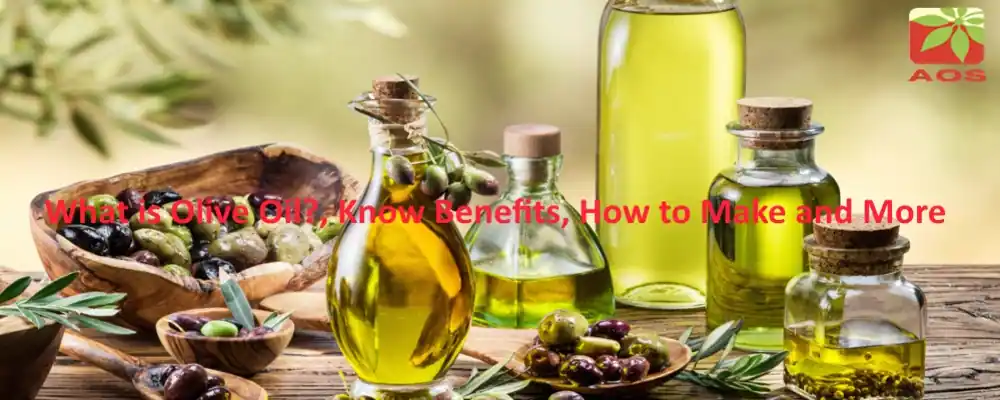 All About Olive Oil