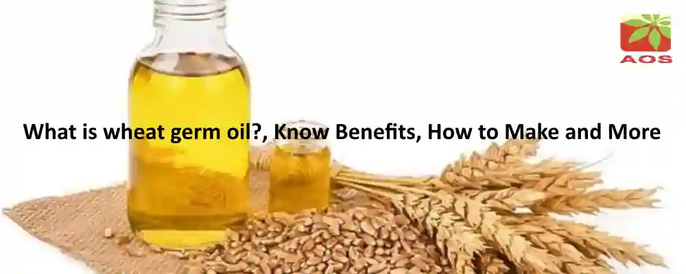 All About Wheat Germ Oil