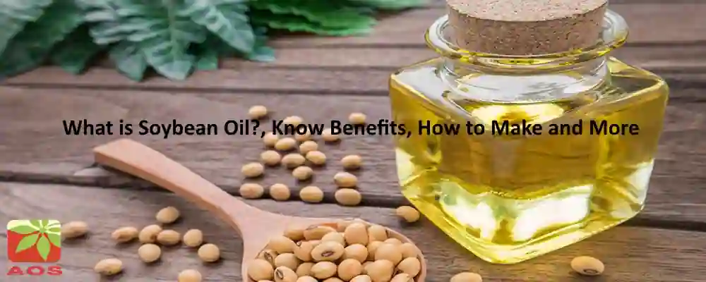 All About Soybean Oil