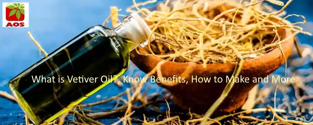 All About Vetiver Oil