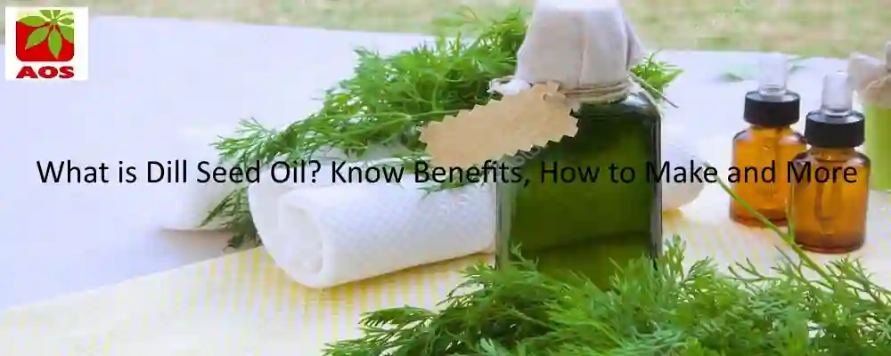 All About Dill Seed Oil