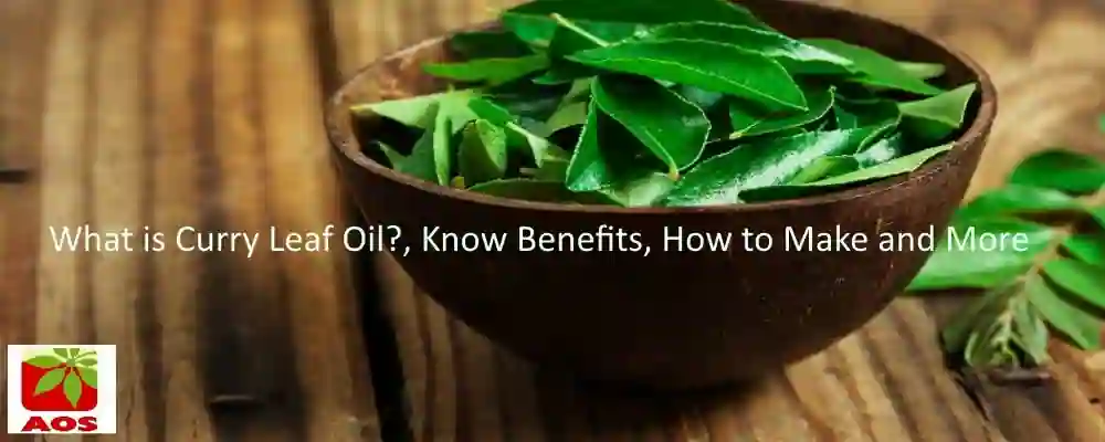 All About Curry Leaf Oil
