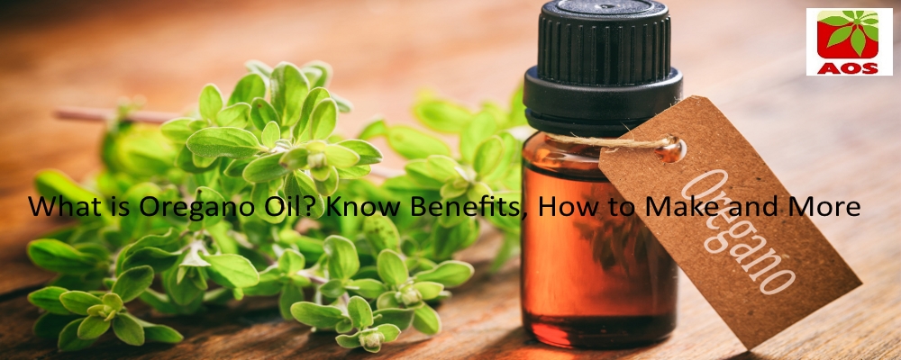 All About Oregano Oil