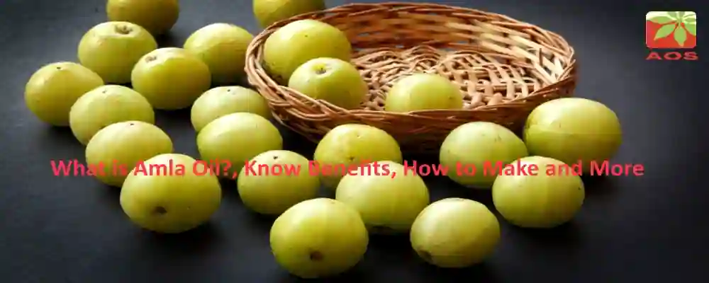 All About Amla Oil