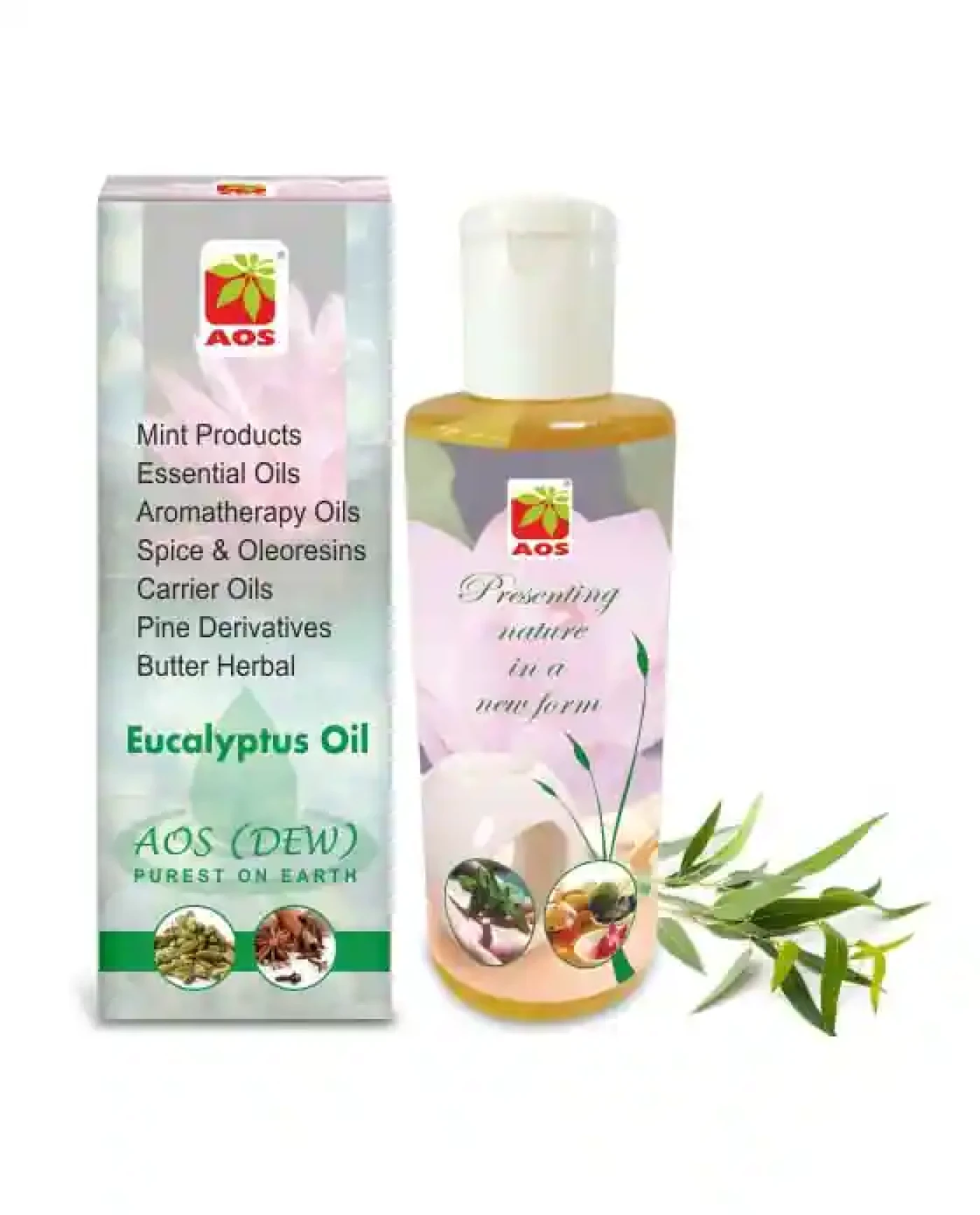 Eucalyptus Oil