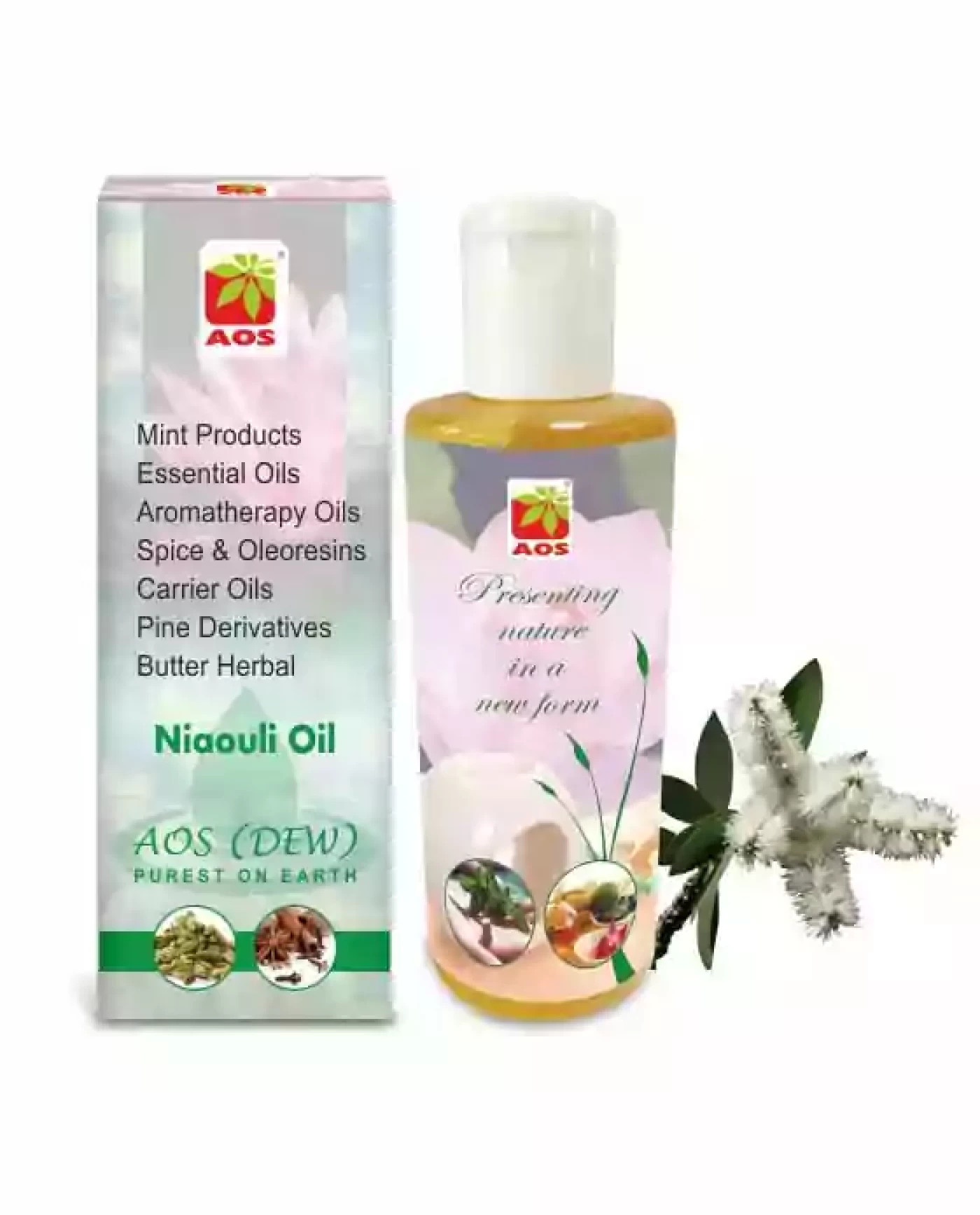 Niaouli Oil