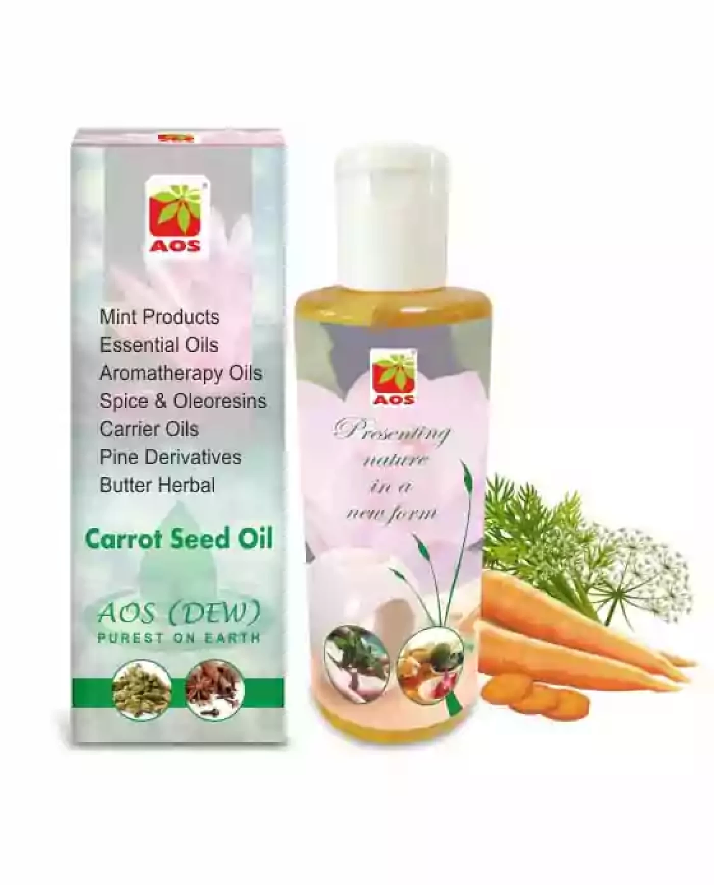 Carrot Seed Oil